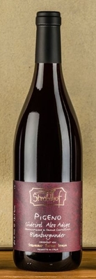 Pinot Nero 'Pigeno'