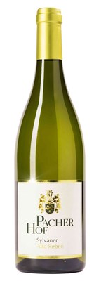 Sylvaner 'Alte Reben'
